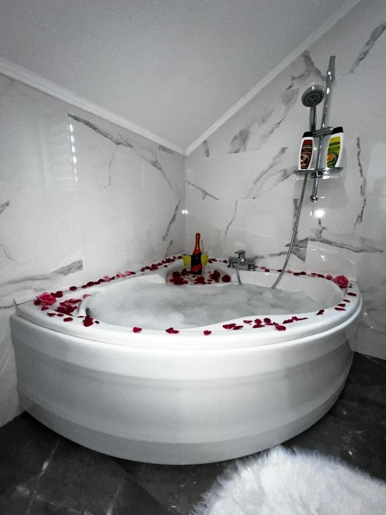 Luxury Apartment Megy オトチャッツ エクステリア 写真