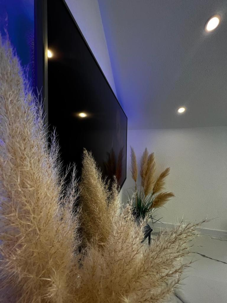 Luxury Apartment Megy オトチャッツ エクステリア 写真